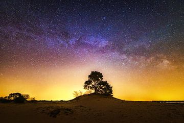 Veluwe Galaxy by Albert Dros