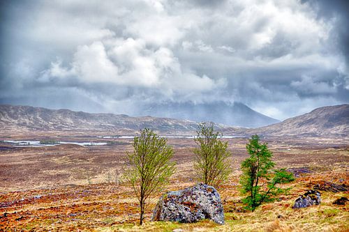 Rannoch Moor, Highlands (Schotland)