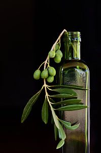 Dans une bouteille verte se trouvent des branches d'olivier