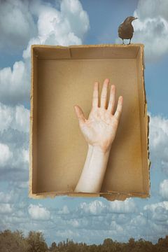 Magic hand with a bird, Magritte van Karin vanBijlevelt