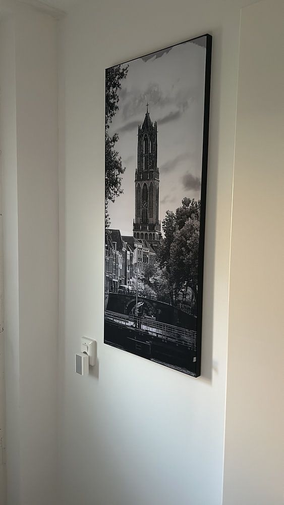 Domtoren Utrecht gezien vanaf de Bemuurde Weerd (2)  van André Blom Fotografie Utrecht