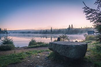 Morgenstimmung am Oderteich im Harz II