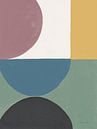 Kleurrijke retro abstract v, Danhui Nai van Wild Apple thumbnail