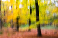 Herfstimpressie van Rob IJsselstein thumbnail