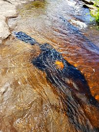 'Menschliches Wesen' mit dem Goldenen Herz' von Erna Kampman