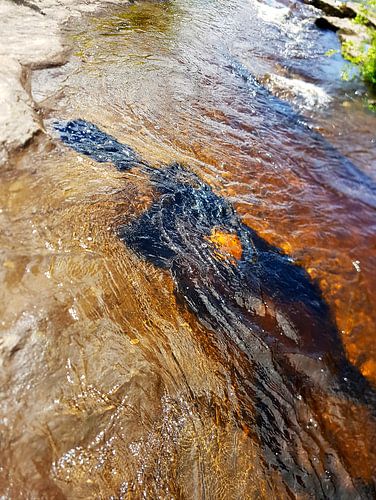 'Menschliches Wesen' mit dem Goldenen Herz'