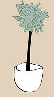 TREE IN POT