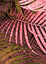 TROPICAL POPPY PINK LEAVES-3 von Pia Schneider Miniaturansicht