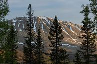 Avondlicht op de berg Gaustatoppen in Noorwegen van Arja Schrijver Fotografie thumbnail