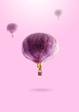 Fruit Balloons by 360brain