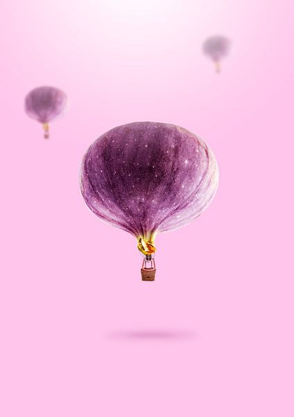 Fruitballonnen van 360brain