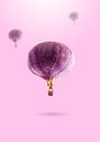 Fruitballonnen van 360brain thumbnail