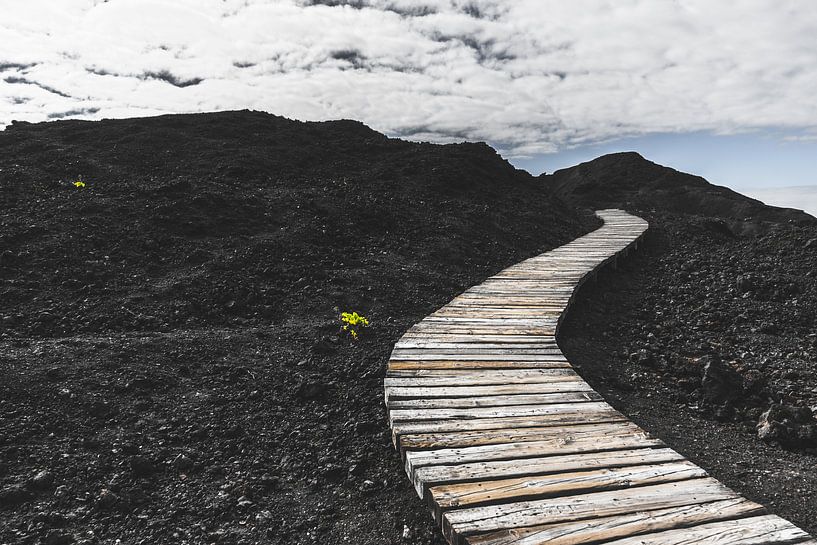 Road to the End by Dimitri van Beerschoten
