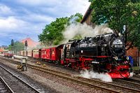 Dampfzug im Harz in Wernigerode