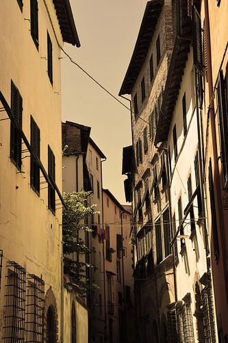 Toscane Italie Lucca Centre-ville Vieux