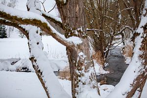 Verschneite Winterlandschaft mit Bachlauf