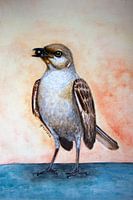 Lijster vogel met zwarte bes