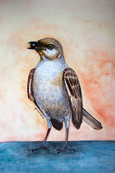 Thrush bird with blackcurrant by Gabriela Brakenhoff
