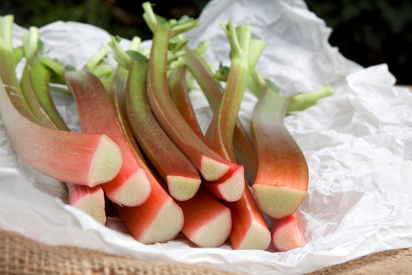 Rabarber van Karina Gebert