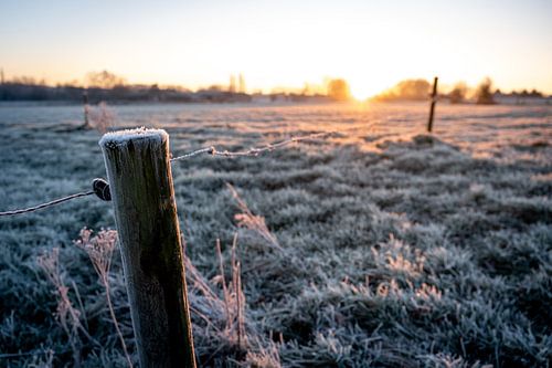 Frostiger Morgen in der flämischen Landschaft von Mickéle Godderis