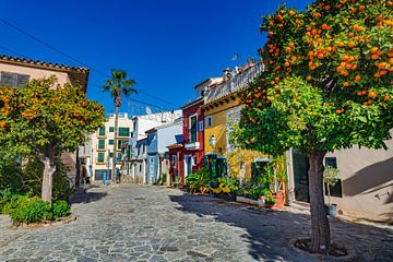 Maisons colorées et orangers dans le centre-ville de Palma de Majorque, Espagne, îles Baléares. sur Alex Winter