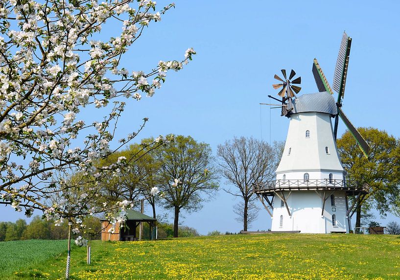 Moulin de Sprengel par Gisela Scheffbuch