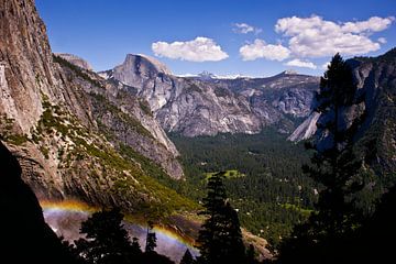Yosemite National Park van Dennis Van Den Elzen