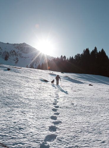 Snowshoeing by Menno Boermans