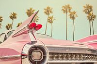 La Cadillac rose