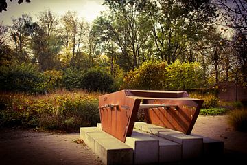 Herfst in het Toorenvliedtpark in Middelburg van Sabina Meerman