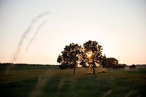 Abendlicht