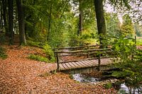 Herfst op De Oorsprong