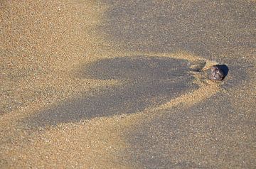 Sand by Corinna Vollertsen