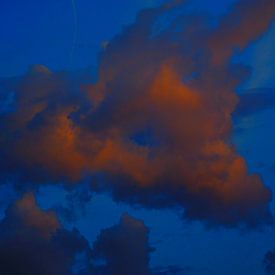 dragon in the sky by wendela kemper
