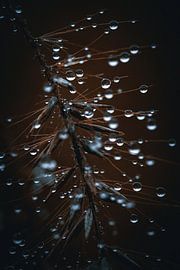 Glass beads by Pixel4ormer