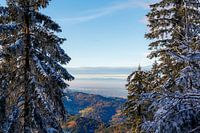 View from Mummelsee