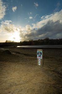 Paradis des chiens