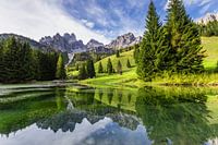 Spiegelung im Almsee