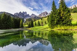 Spiegelung im Almsee