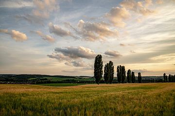 The Tuscany of the Netherlands by J. Einmahl