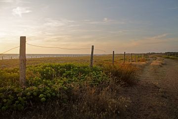 Wanneer de zon de zee kust van Torrentius
