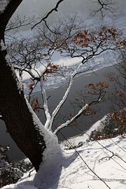 Elbsandsteingebirge von Thomas Jäger