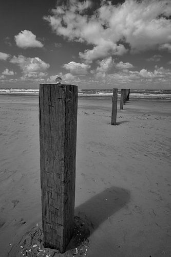 Lensbal op strandpaal Noordzeestrand