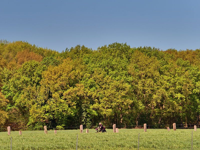 Le printemps des chardons par Edgar Schermaul