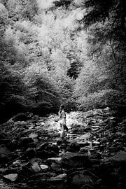 Solitude dans la forêt - Exploration de la nature en noir et blanc