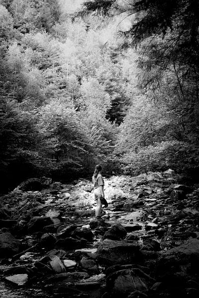 Solitude in Forest | B&amp;W Nature Exploration Art by DiJa Photography