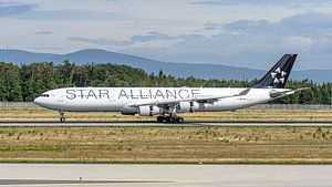 Lufthansa Airbus A340-300 in den Farben der Star Alliance.
