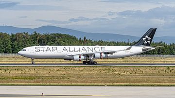 Lufthansa Airbus A340-300 in den Farben der Star Alliance. von Jaap van den Berg