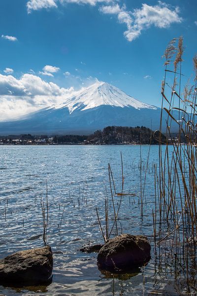 Iconisch Mount Fuji van Peter Leenen