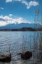 Iconisch Mount Fuji van Peter Leenen thumbnail